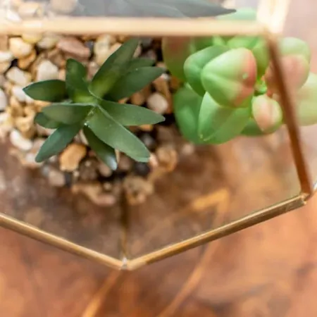Santarosa Five Senses Apartment *